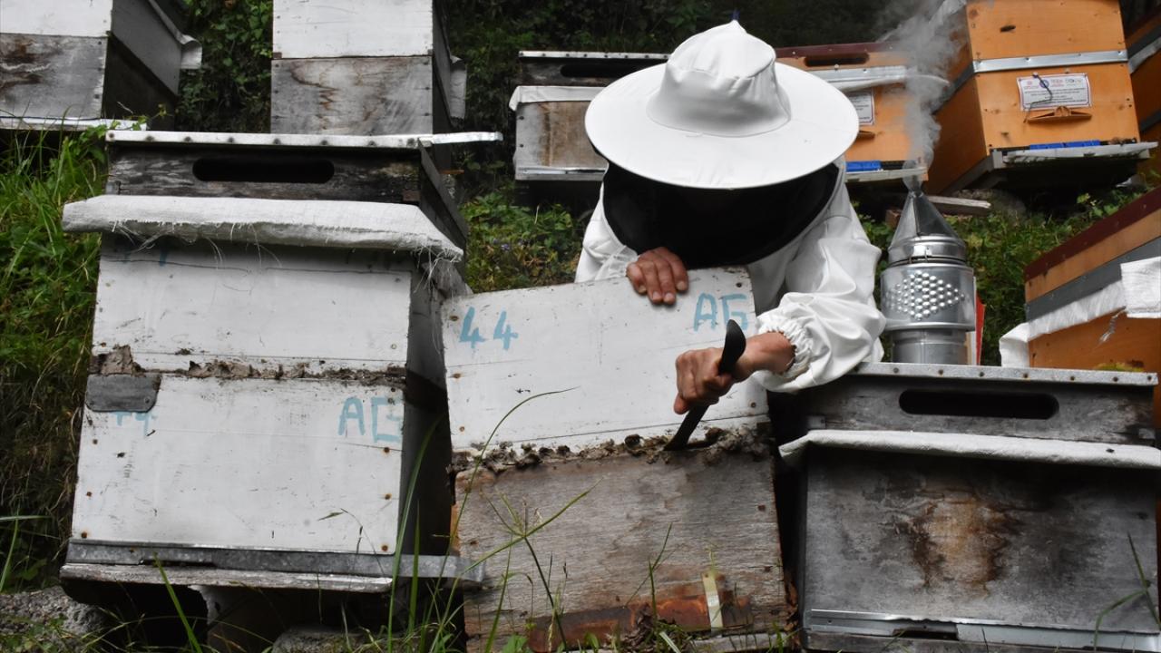 "Arısız duramıyorum"