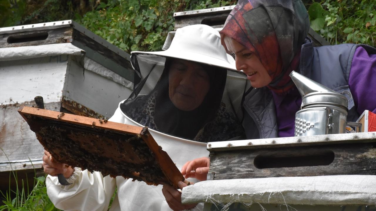 "Telefonla oynayacağıma arıma bakarım"