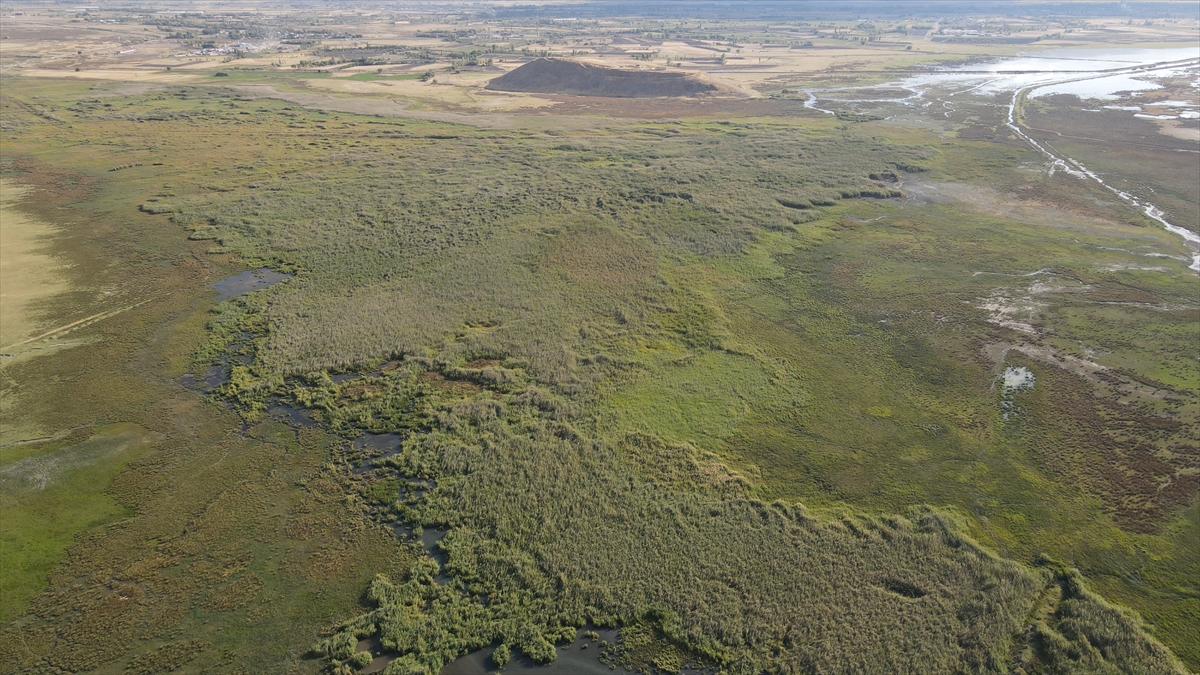 "Öğrencilere burada kuş gözlemciliği yaptırıyoruz"