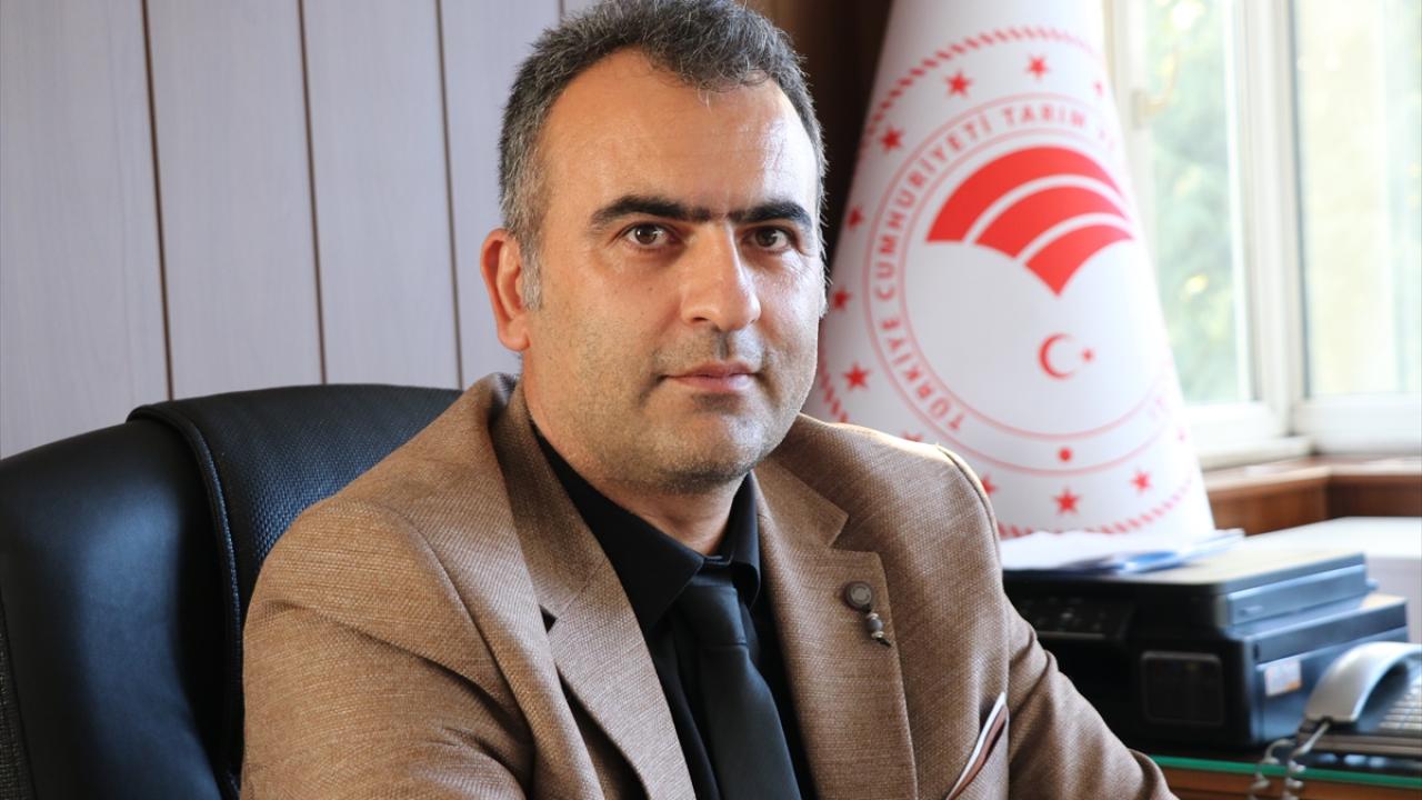 "Turnalarımızın bir kısmı yerleşik, bir kısmı ise göçer durumda"