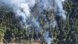 Antalya'da iki ayrı noktada yangın