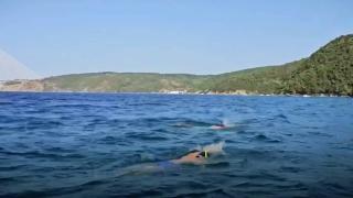 Selçuk Bayraktar İstanbul Boğazı'nı yüzerek geçti