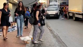 Alışverişe yanında götürdüğü ördeği pazarın maskotu oldu