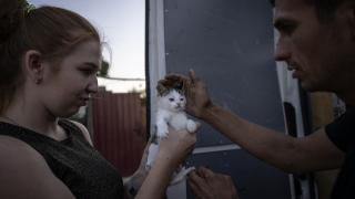 Ukrayna’da sahipsiz kalan hayvanlar tahliye ediliyor