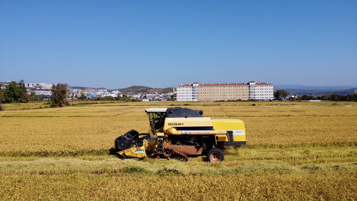 "Coğrafi işaret alması çok önemli"
