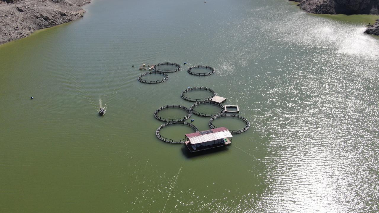 “Barajda daha çok alabalık tutuyoruz”