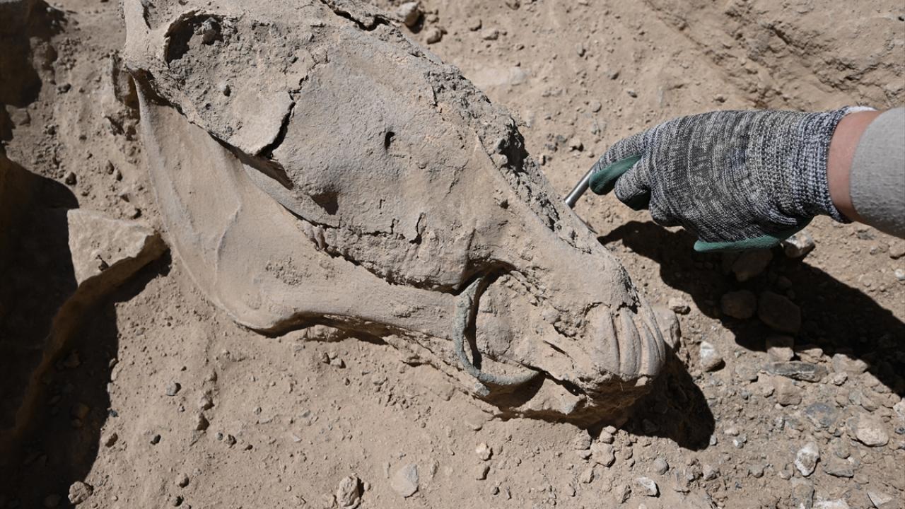 "İlk kez halka şeklinde bir gem karşımıza çıkıyor"