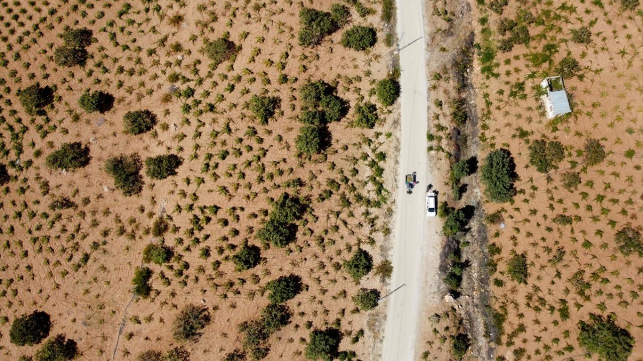 Gaziantep`ten almaya geliyorlar