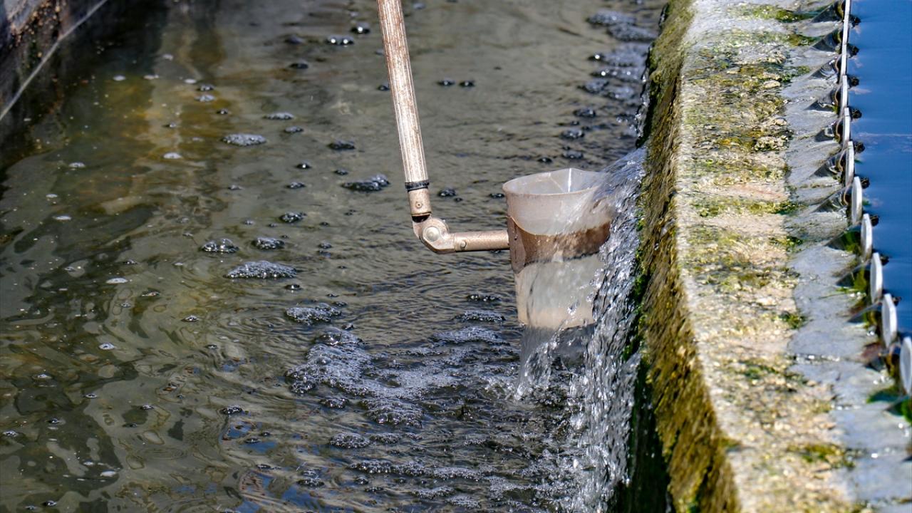 "Van Gölü korunarak geleceğe taşınması gereken bir doğa harikası"