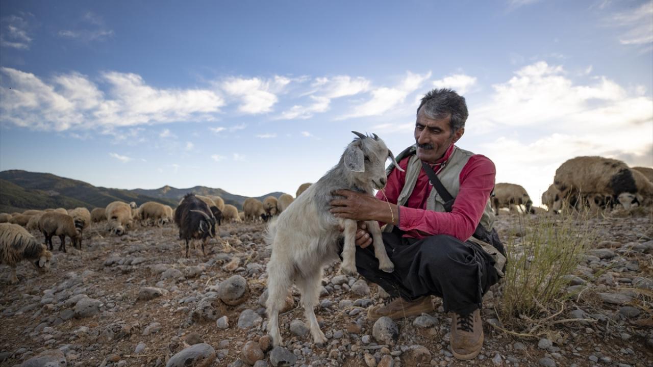 "Gündüzleri yollarda araç geçişi yoğun olduğu için sıkıntı yaşıyoruz"