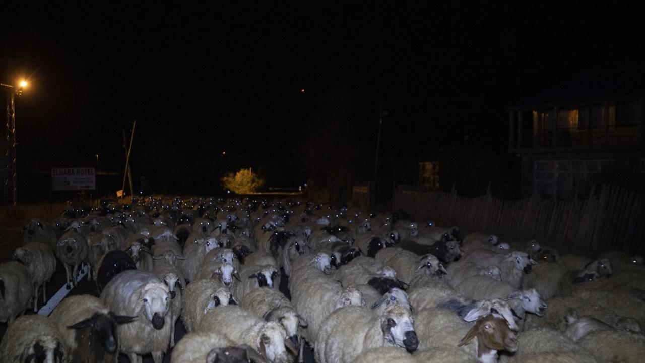 "İlkbaharda etkili olan yağışlar yaylalara bereket kattı"