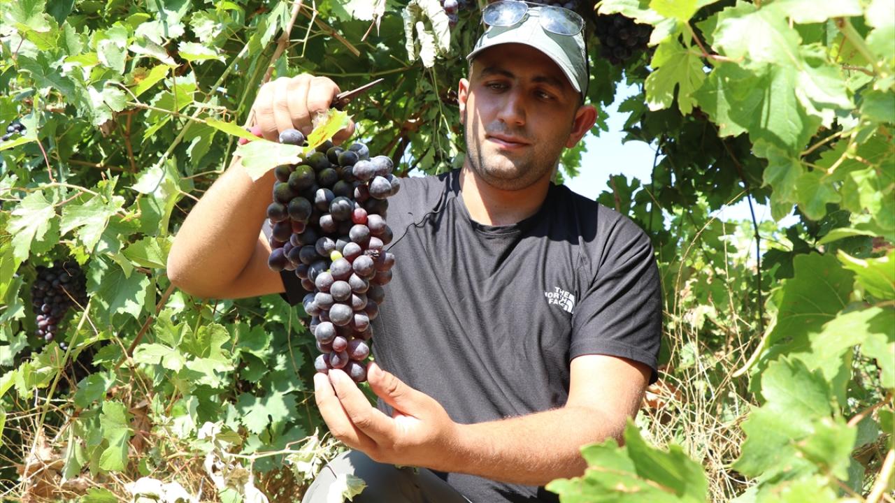  "Şanlıurfa, Gaziantep, Ankara başta olmak üzere birçok ile gönderiyoruz"