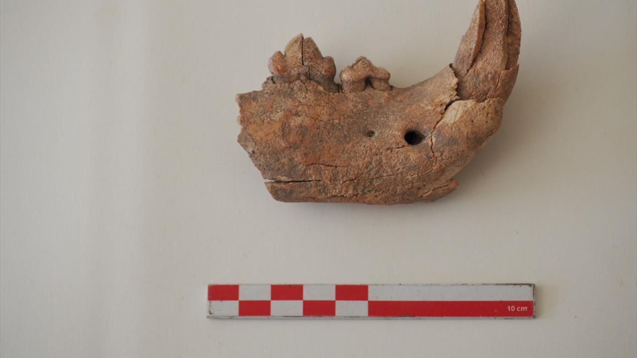 "Kemik parçasına DNA analizi yapılacak"