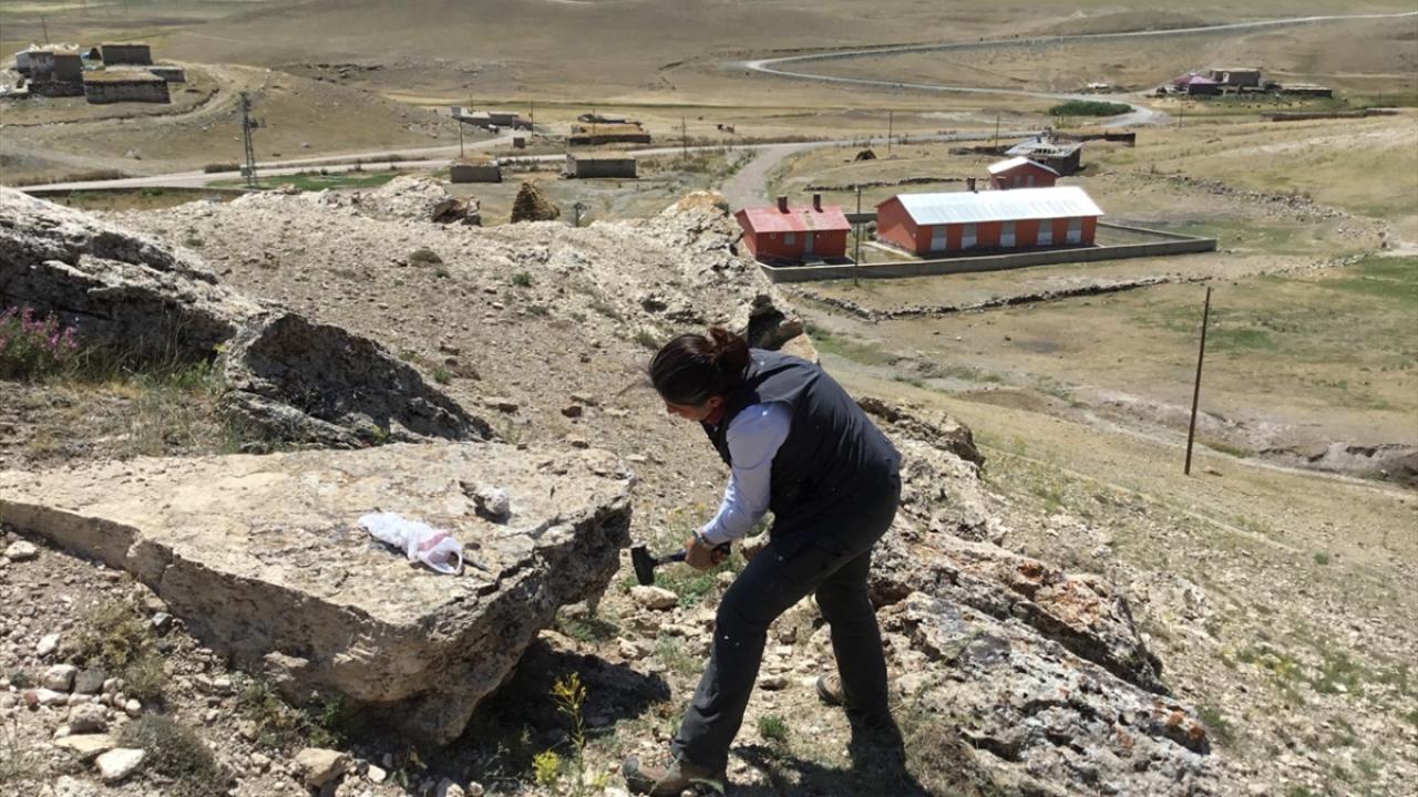 "Projenin sonuçlarını kurumlarla paylaşacağız"