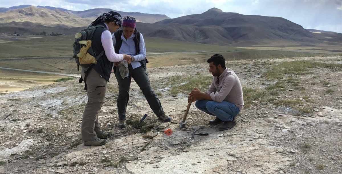 "Veri tabanı oluşturulacak"