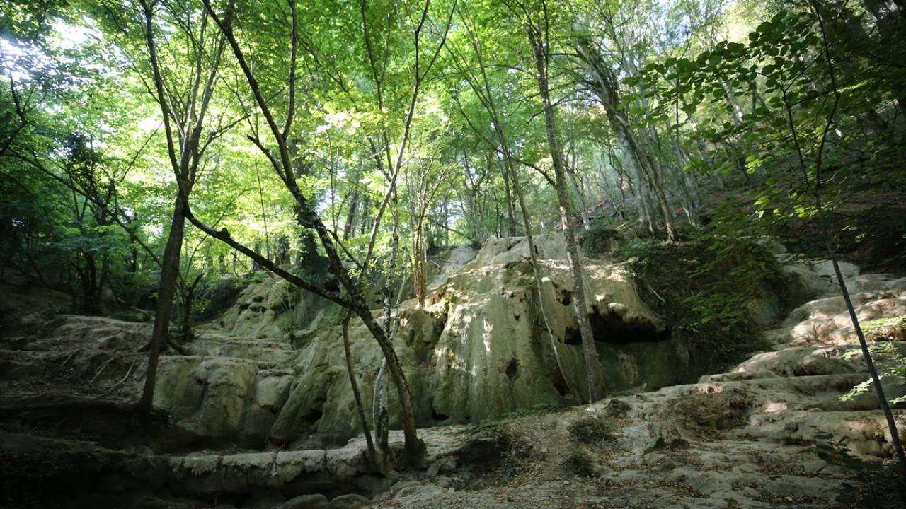 "Bu tasarrufa öncelikle evimizden başlamalıyız"