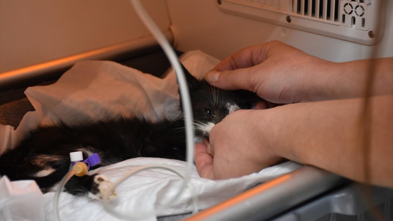 "Yaptığım en zor operasyondu"