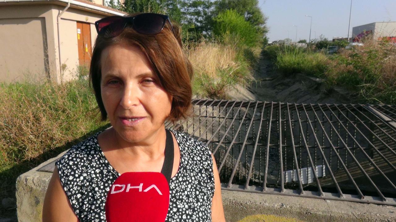 "Burada can çekişen hayvanlara yazık"