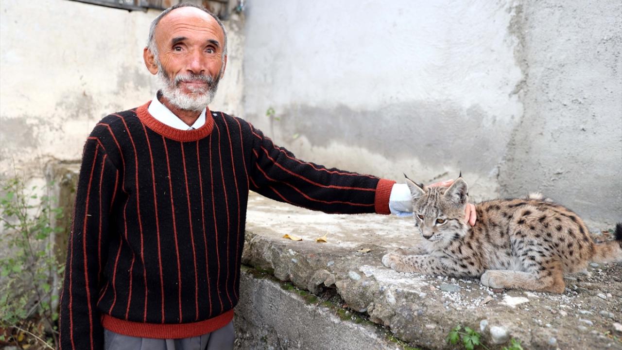 Odun toplamak için gittiği ormanda buldu