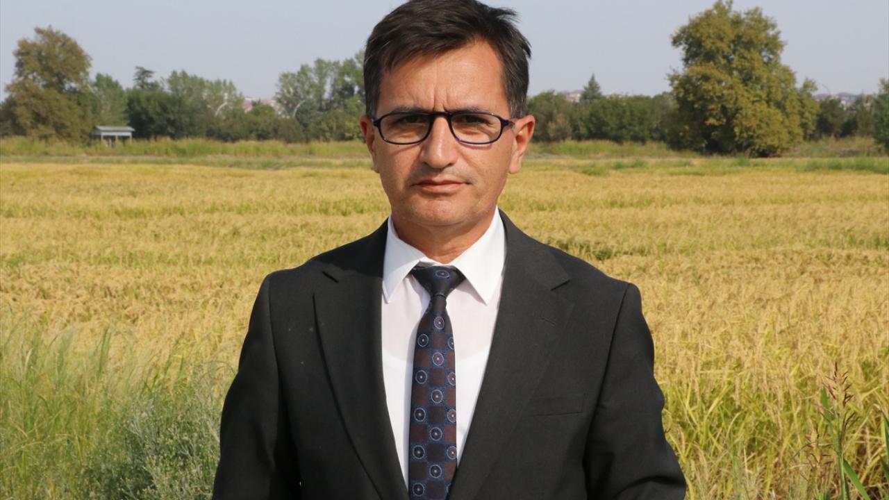 "Pek çok çeşidimizin üreticiler tarafından ekimi yapılıyor"