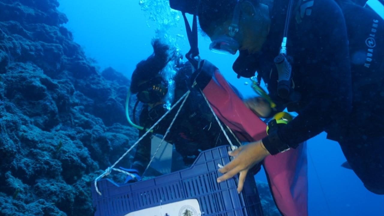 "İlk deniz ticaretinin ülkemiz kıyılarında yapıldığını görüyoruz"