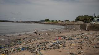 Gine sahillerindeki çöp yığınları çevreyi olumsuz etkiliyor