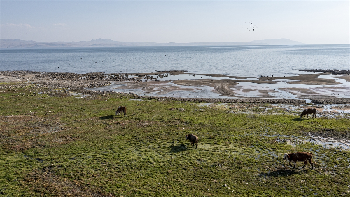 "Van Gölü, bünyesine nice sırları barındırıyor"