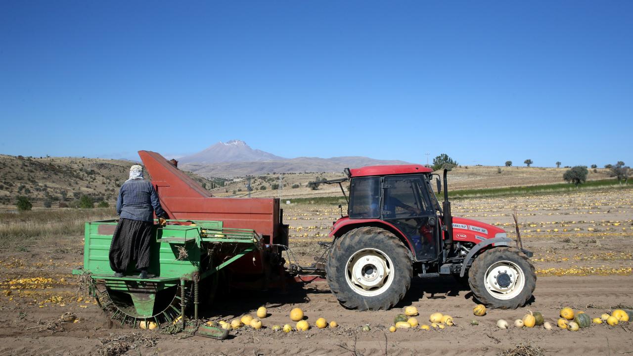 "İhracat bizim için çok güzel olur"
