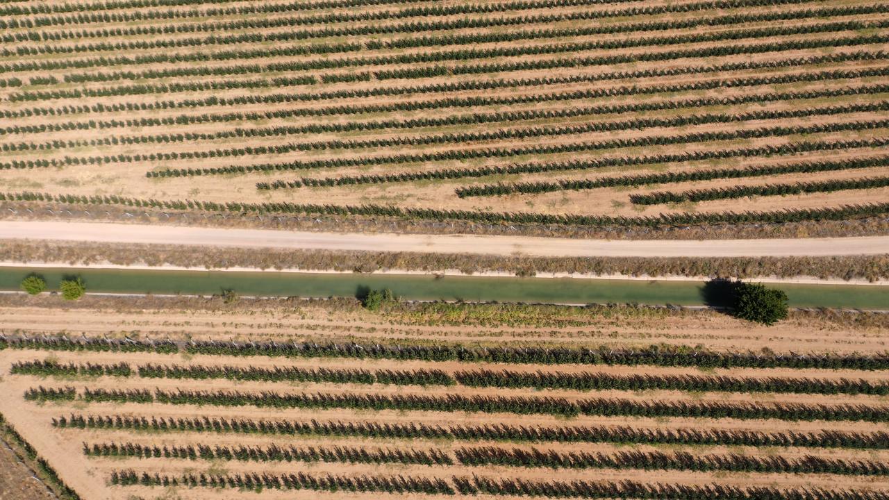 Bereketli bir sezon geçiriliyor