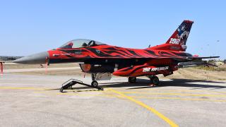 İtalya'da 'Kaplan Buluşması' devam ediyor