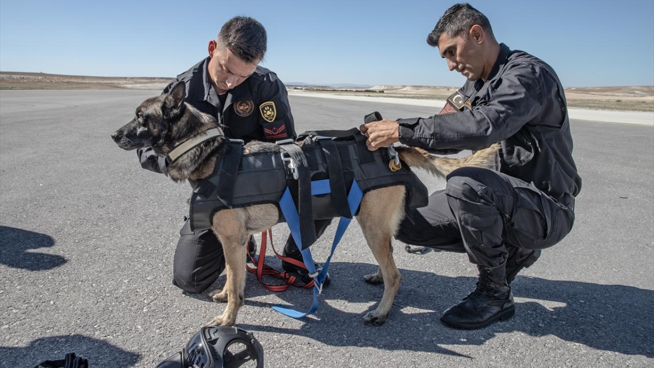 Eğitimler gerçeği aratmıyor