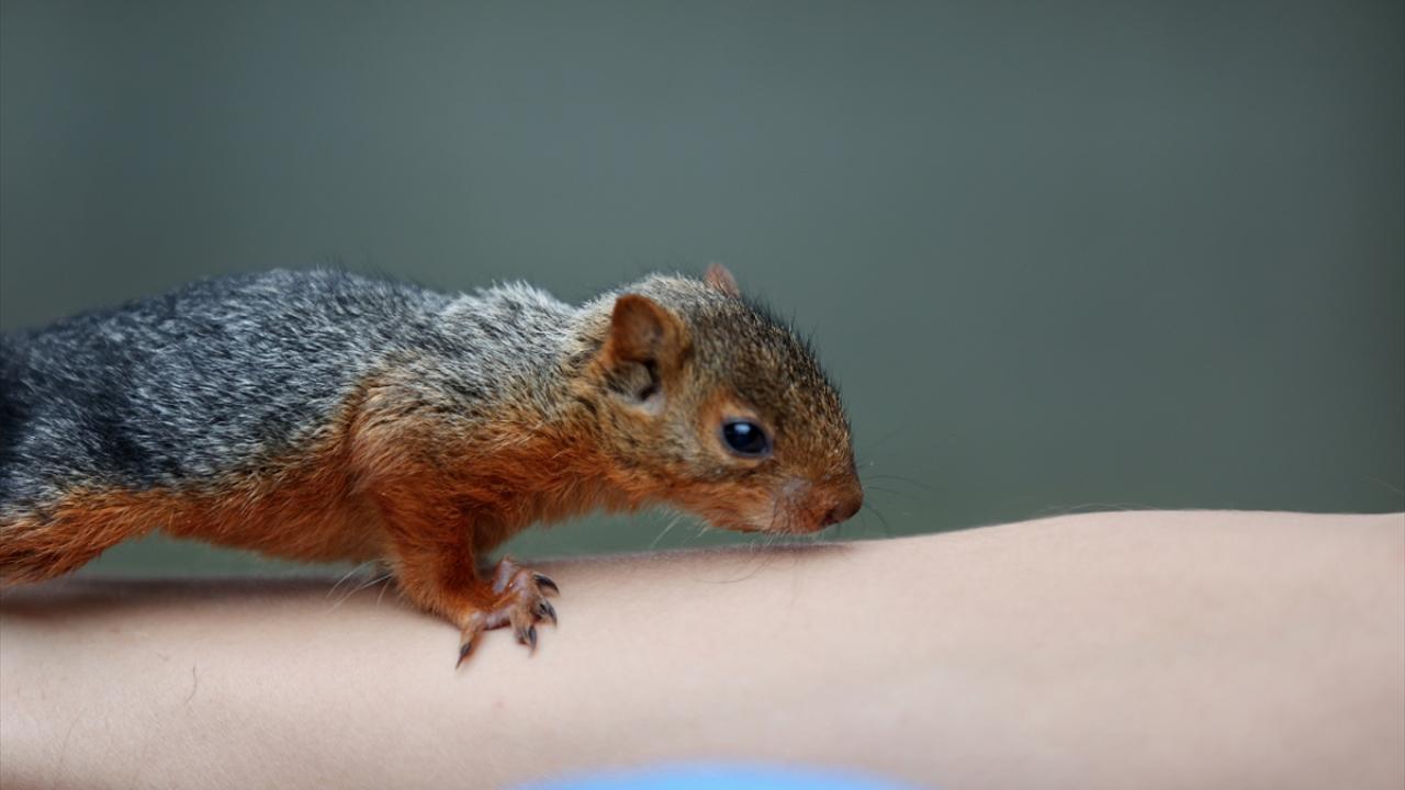 "Halen anne emme refleksleri devam ediyor"
