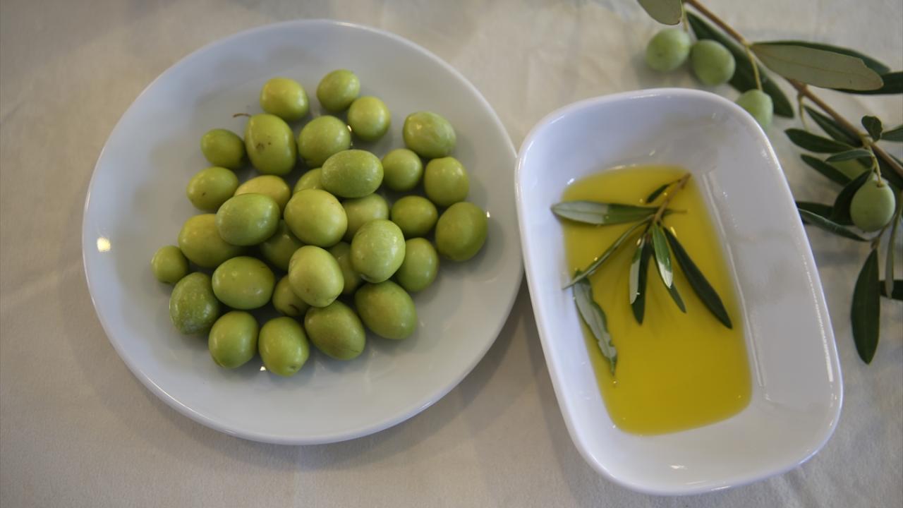 "Üniversite olarak bütün üreticilerimize kapımız açık"