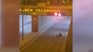 Karabük'te şehir merkezine inen 3 ayı kameraya yansıdı