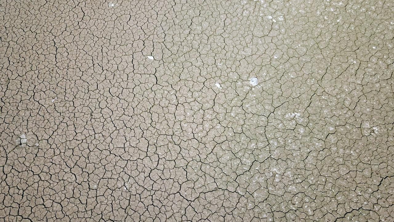 "Gıda ve suyun önemi pandemi döneminde hissedildi"