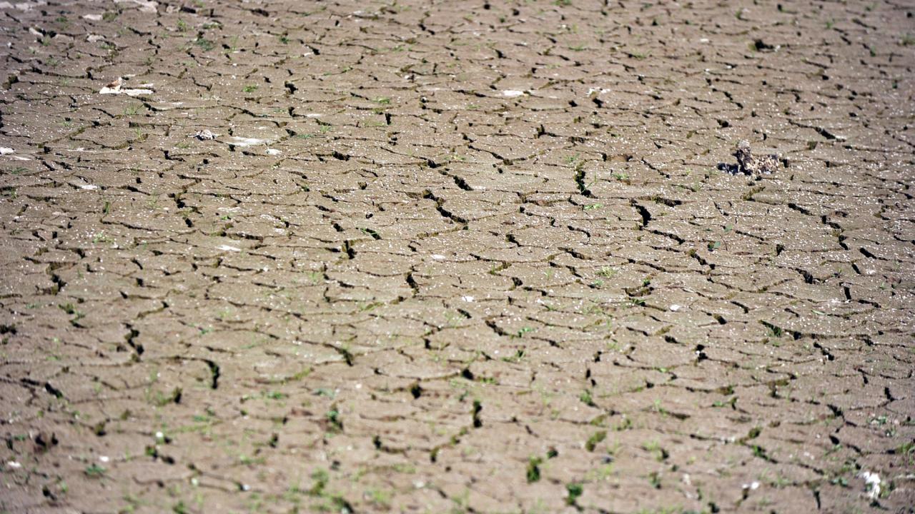 "1 kişi bir günde 140 litre su tüketiyor"