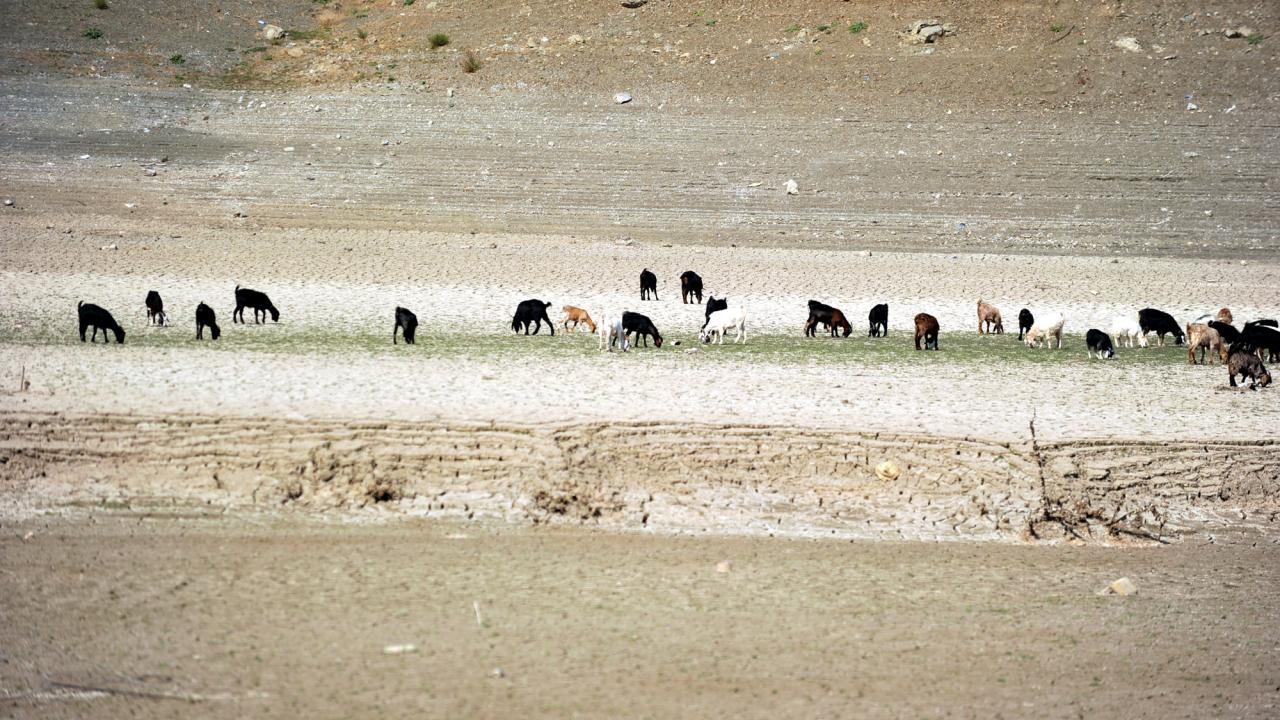 "Bilinçsiz tüketim çekilen su miktarını arttırıyor"