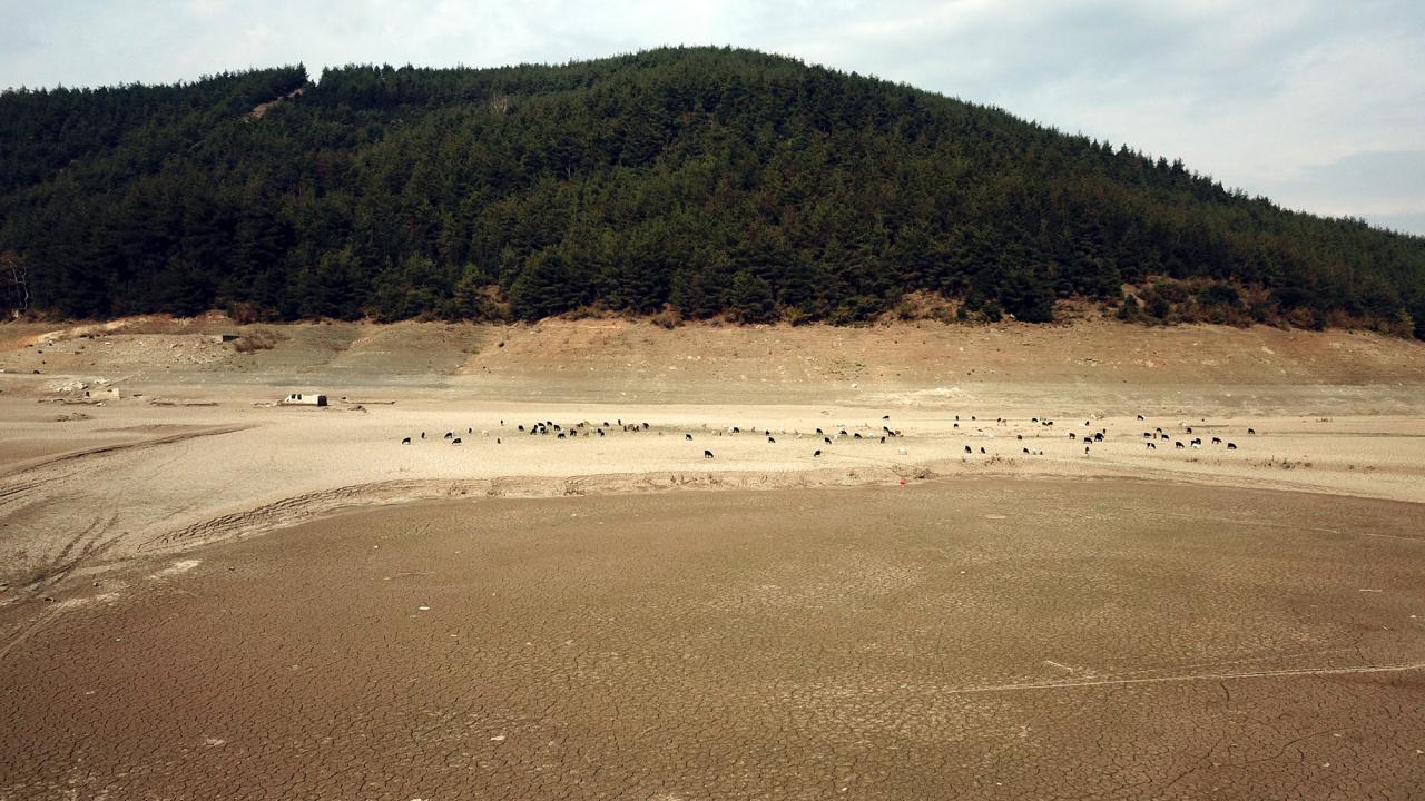 "Gıda krizi ile karşı karşıya kalabiliriz"