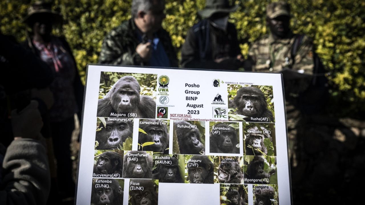 "Hastalık riskine karşı maskeyle izlenebiliyorlar"