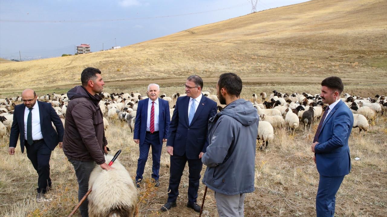 "İnşallah projeyle küçükbaş hayvan sayısı 7-8 milyon olacak"