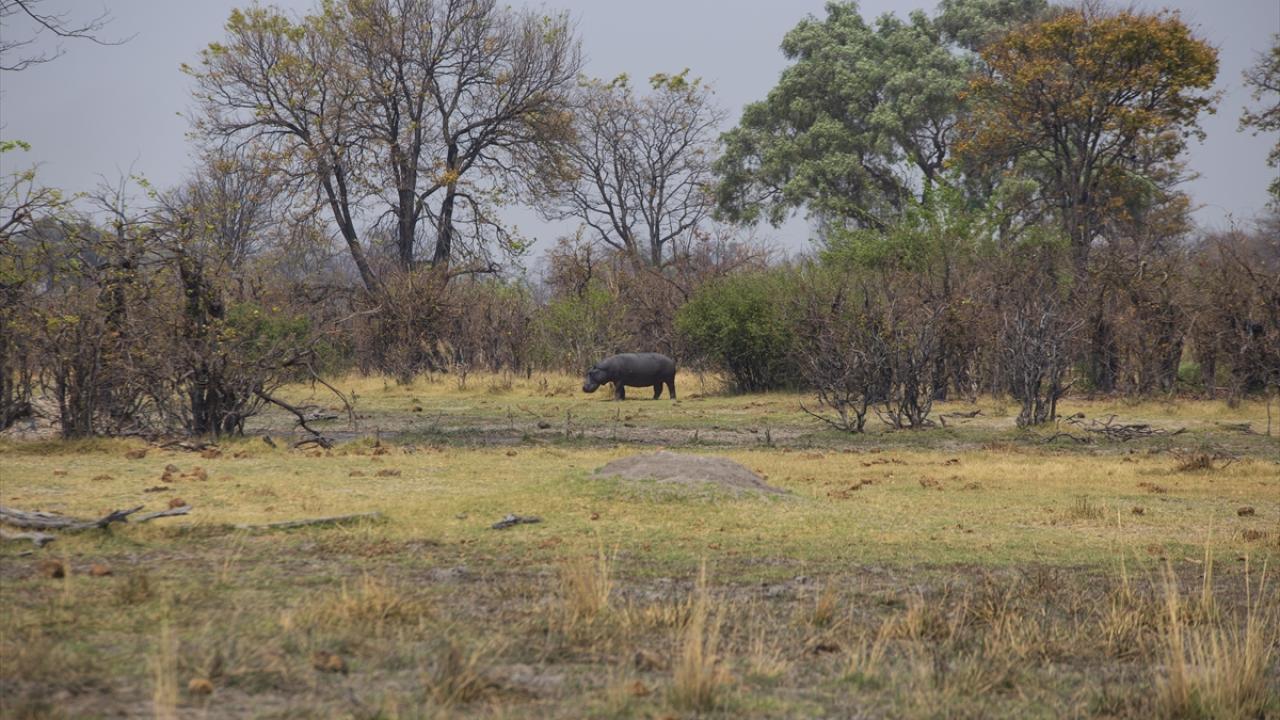 İklim değişikliği bölgede etkisini gösteriyor