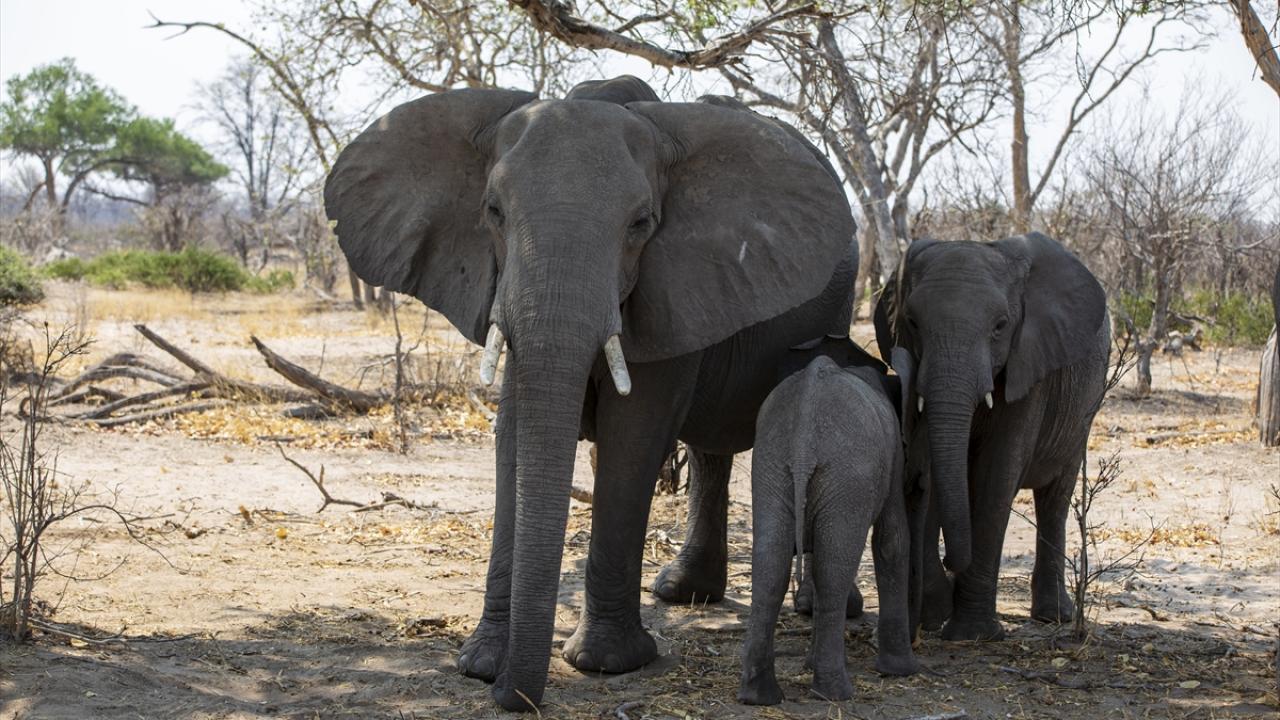 Turistler özellikle kurak mevsimi tercih ediyor