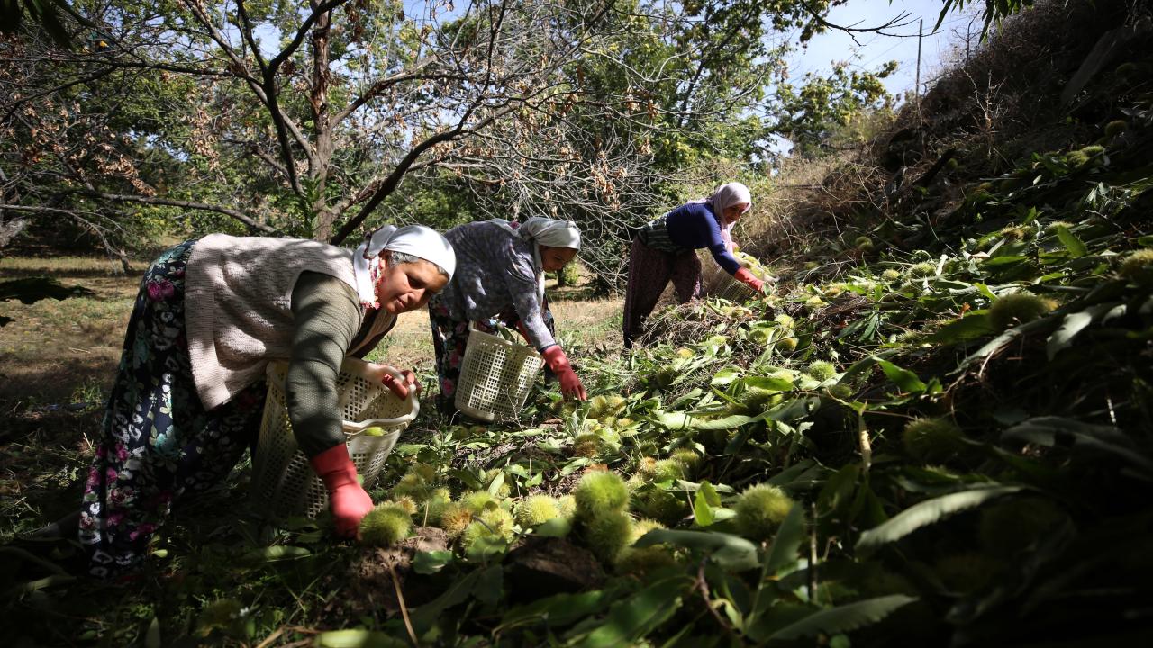 "Kalite, beklentileri karşılıyor"