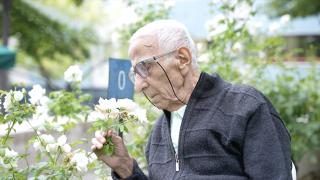 Cumhuriyetin asırlık çınarları anlatıyor