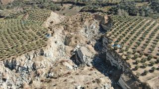 Fay hattının ikiye ayırdığı zeytinlikte hasat başladı