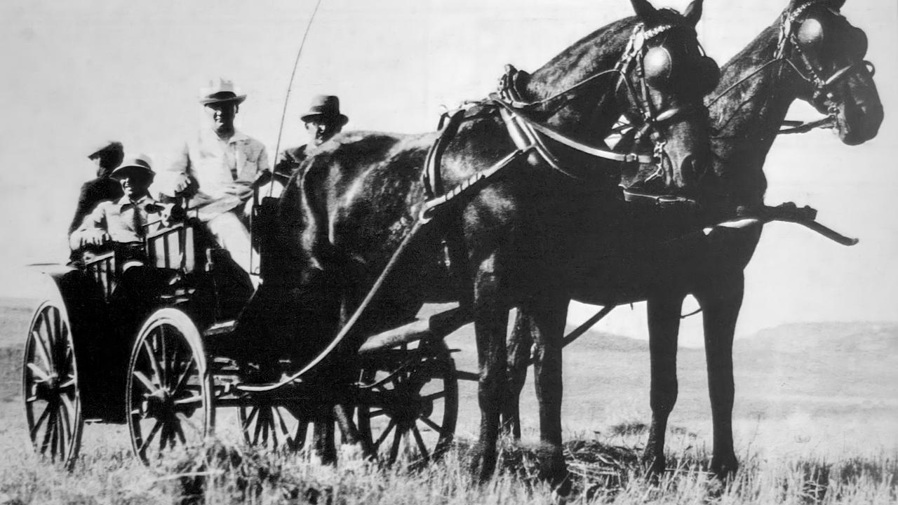 Cumhurbaşkanı Atatürk Orman Çiftliği`nde at arabasında