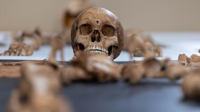 Arkeologlar Polonya mezarl���nda 'vampirleri' ortaya ��kard�