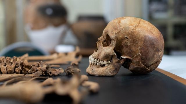 Arkeologlar Polonya mezarl���nda 'vampirleri' ortaya ��kard�