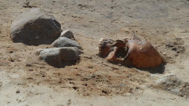 Arkeologlar Polonya mezarl���nda 'vampirleri' ortaya ��kard�