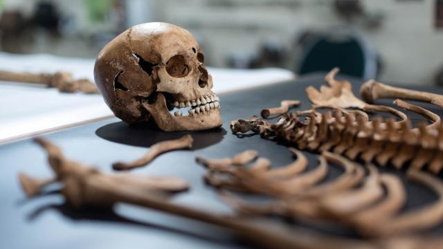 Arkeologlar Polonya mezarl���nda 'vampirleri' ortaya ��kard�